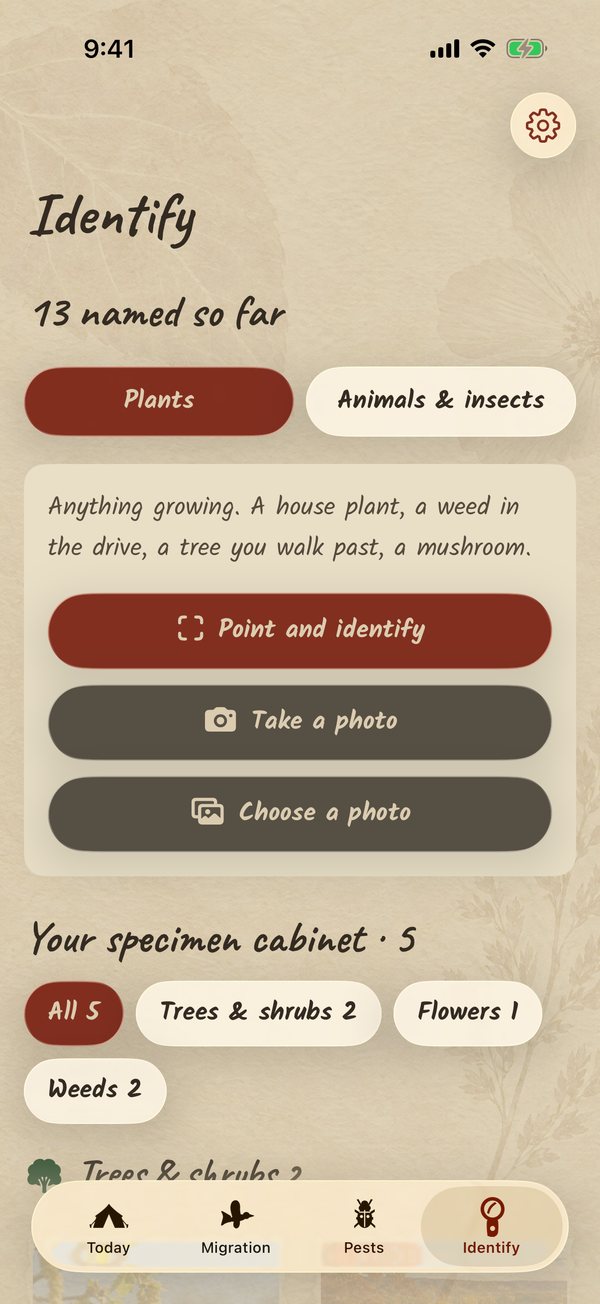 The Identify screen: buttons to point the camera, take a photo or choose one, above the specimen cabinet